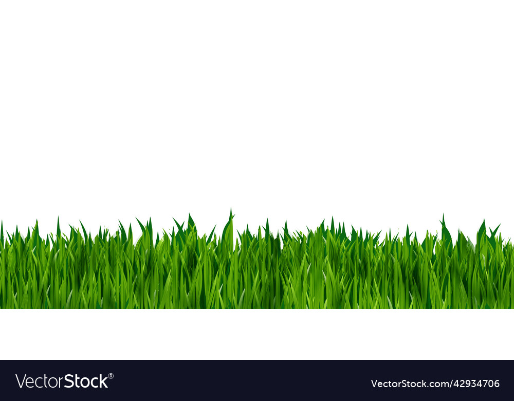 Green grass realistic isolated on white Royalty Free Vector