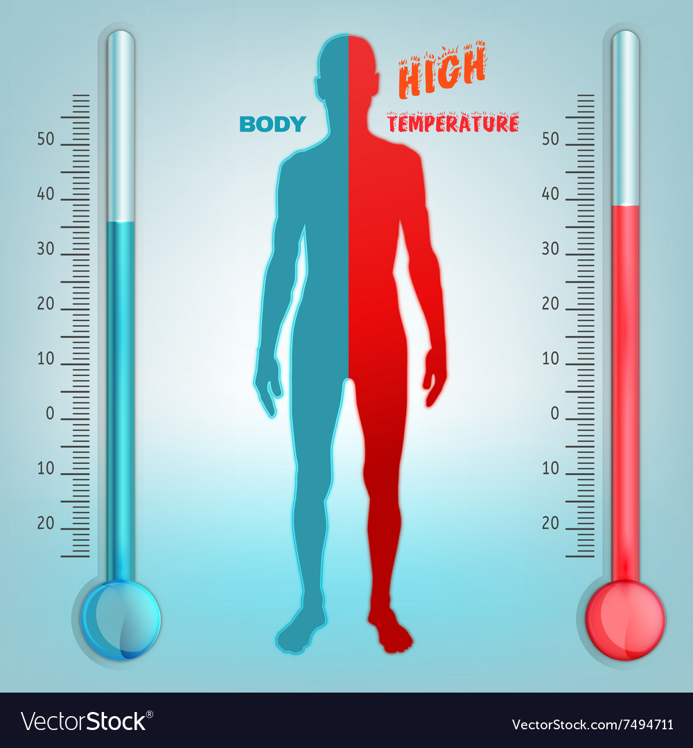 Measurement temperature objects Royalty Free Vector Image