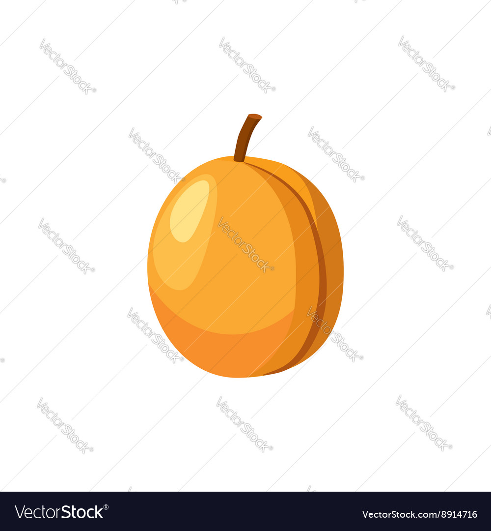 Fresh apricot icon cartoon style Royalty Free Vector Image