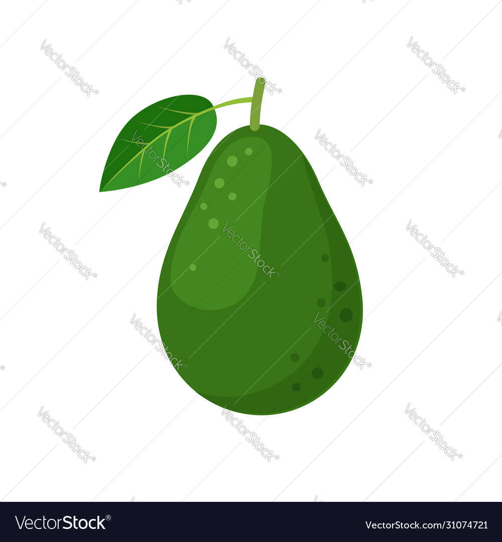 Avocado fruit icon flat design