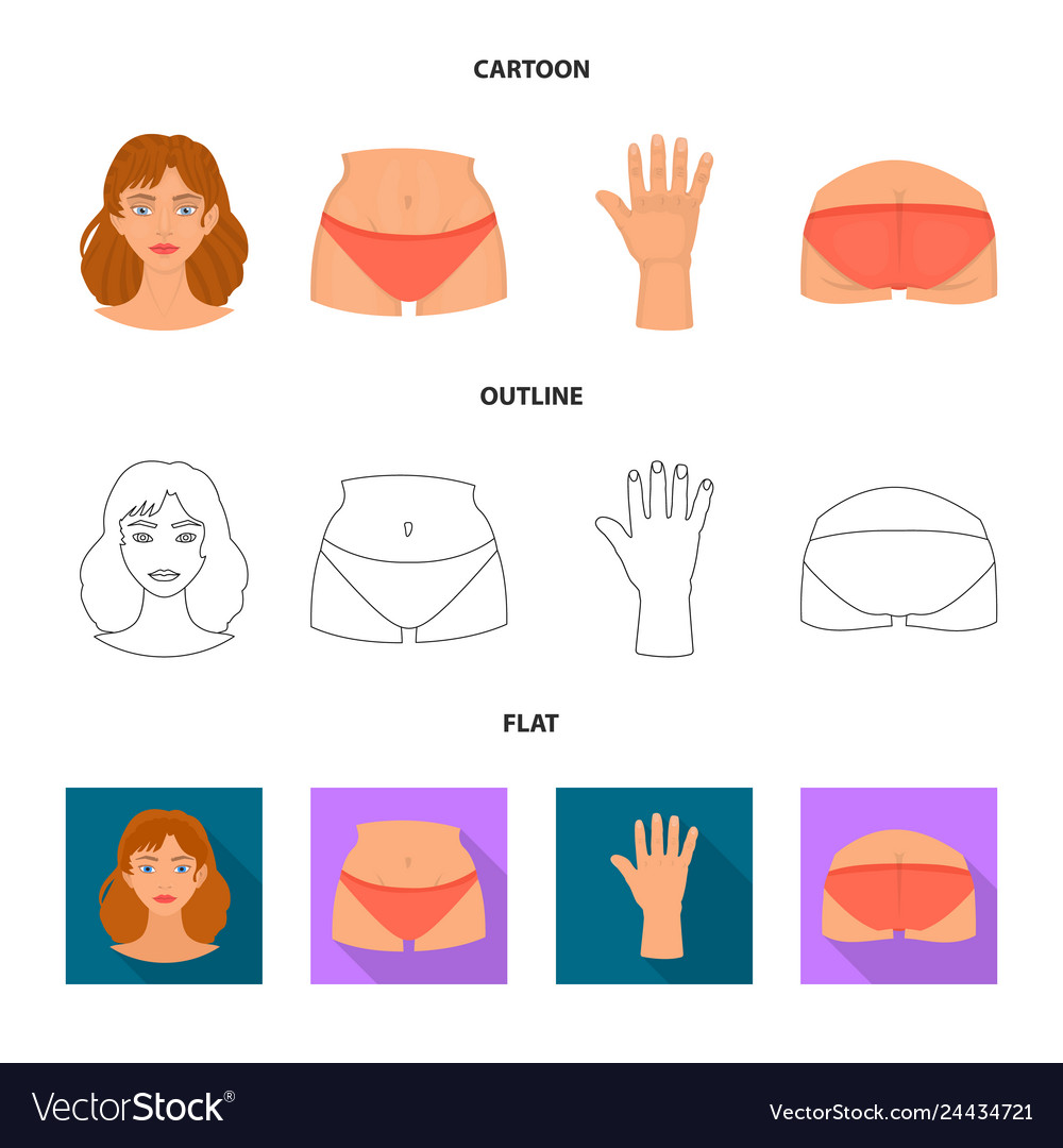 Design of body and part symbol collection vector image Design of body and part symbol collection