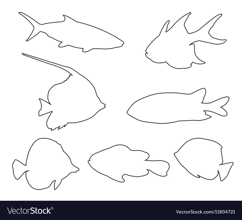Fish set path on white background Royalty Free Vector Image