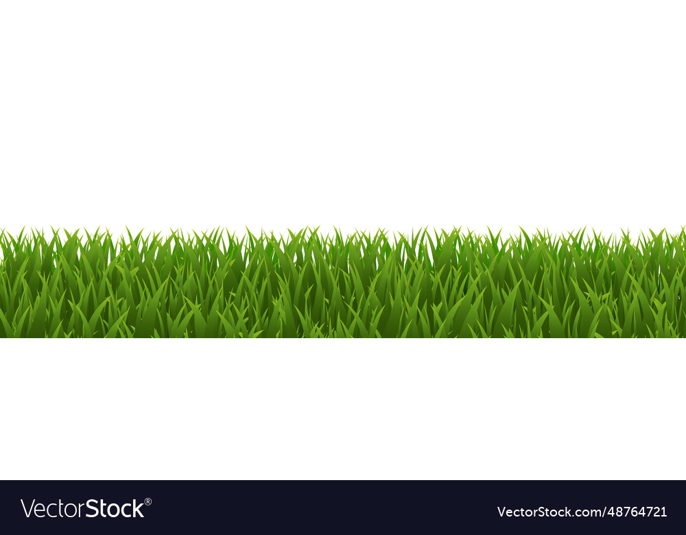 Green border and isolated white background Vector Image