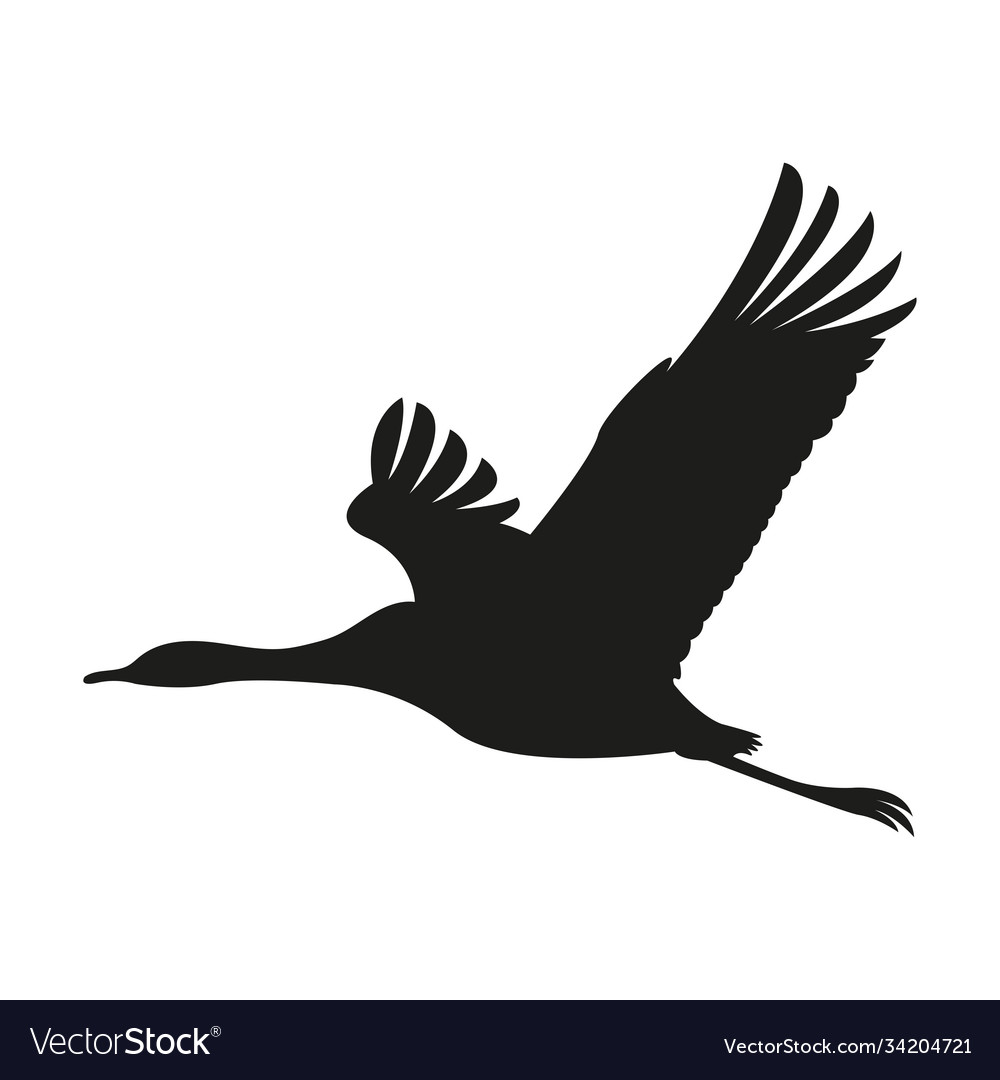 Isolated black stork design