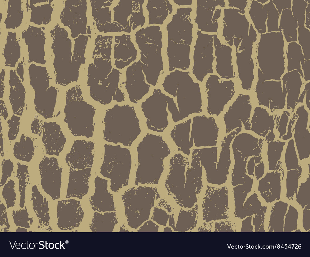 Bark close up texture grunge abstract background