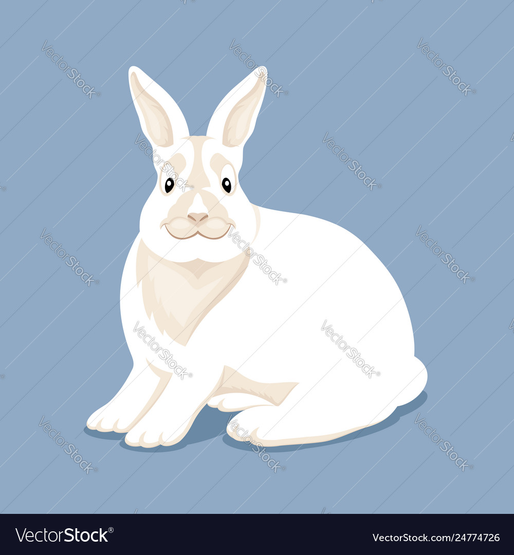 Cute White Rabbit Royalty Free Vector Image Vectorstock 0775