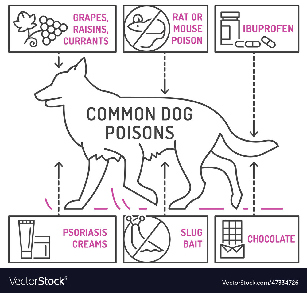 What is poisonous to dogs editable vector image What is poisonous to dogs editable