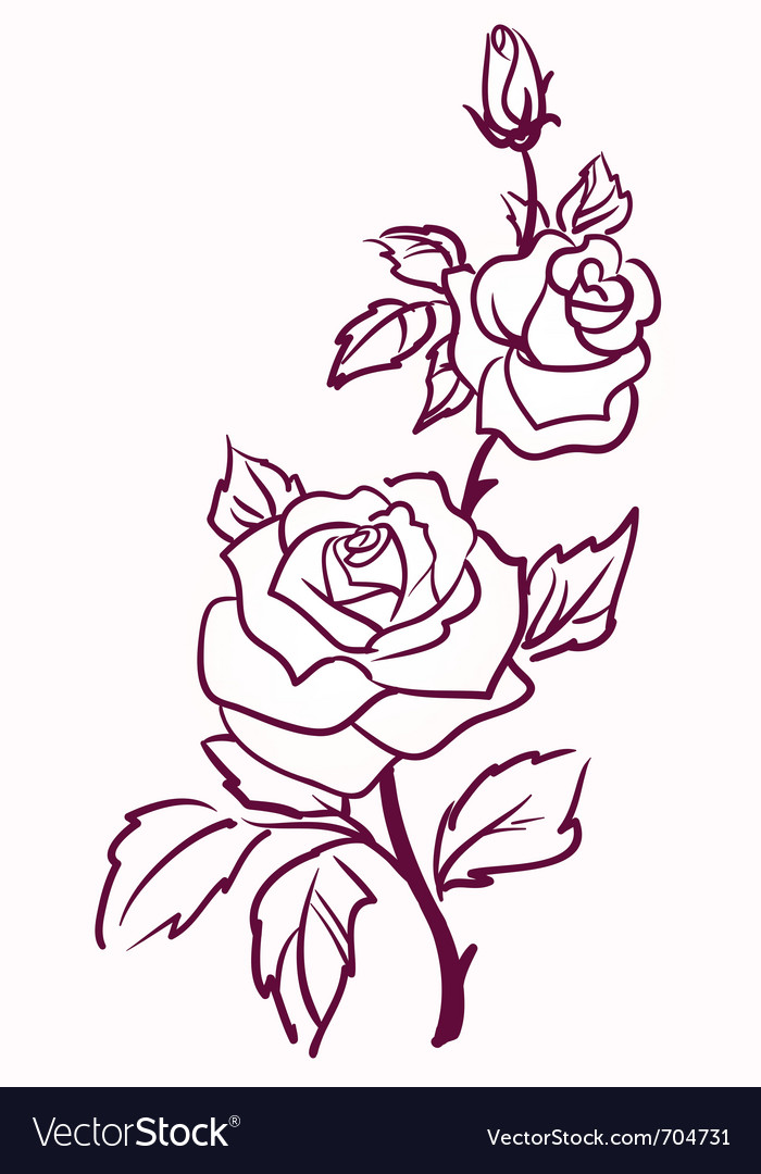 Pale roses Royalty Free Vector Image - VectorStock