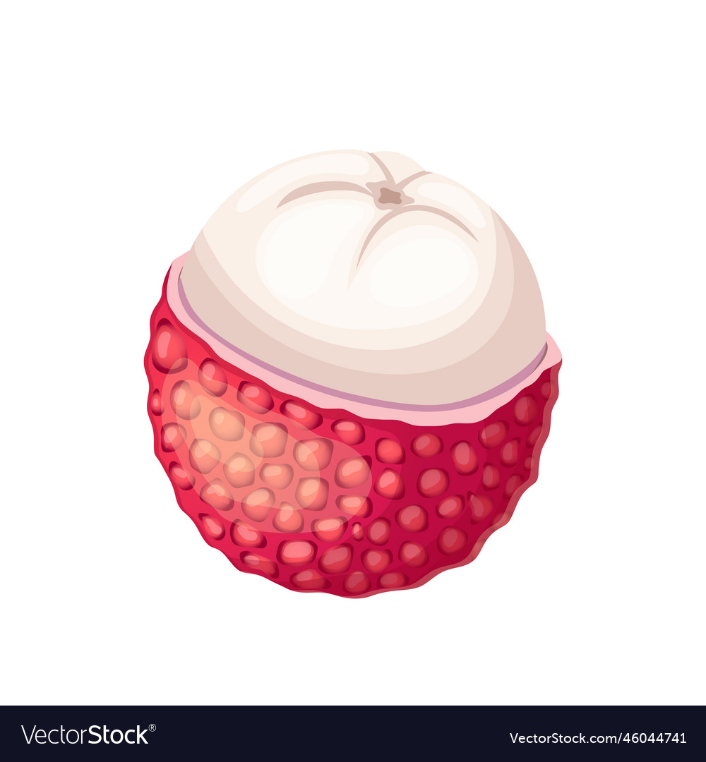 Lychee food cartoon