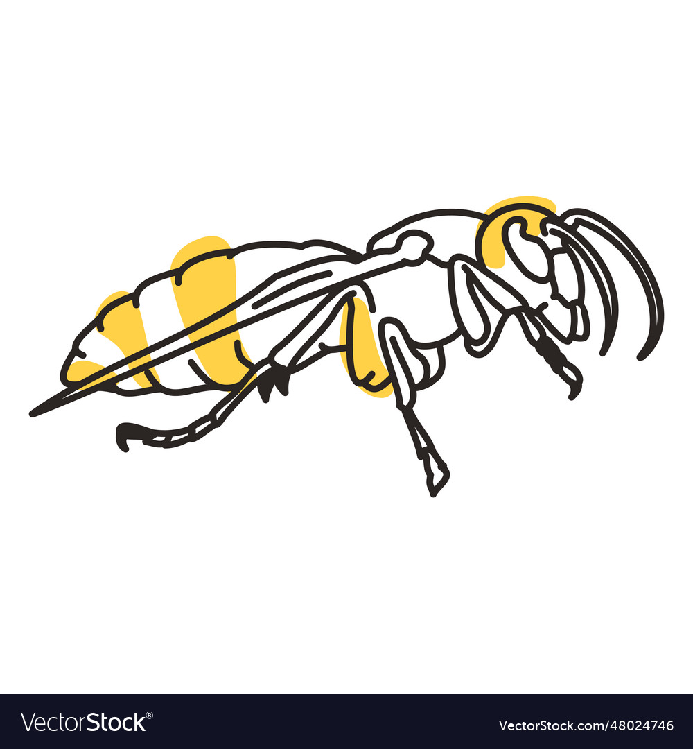 Color stroke semi colored hornet Royalty Free Vector Image