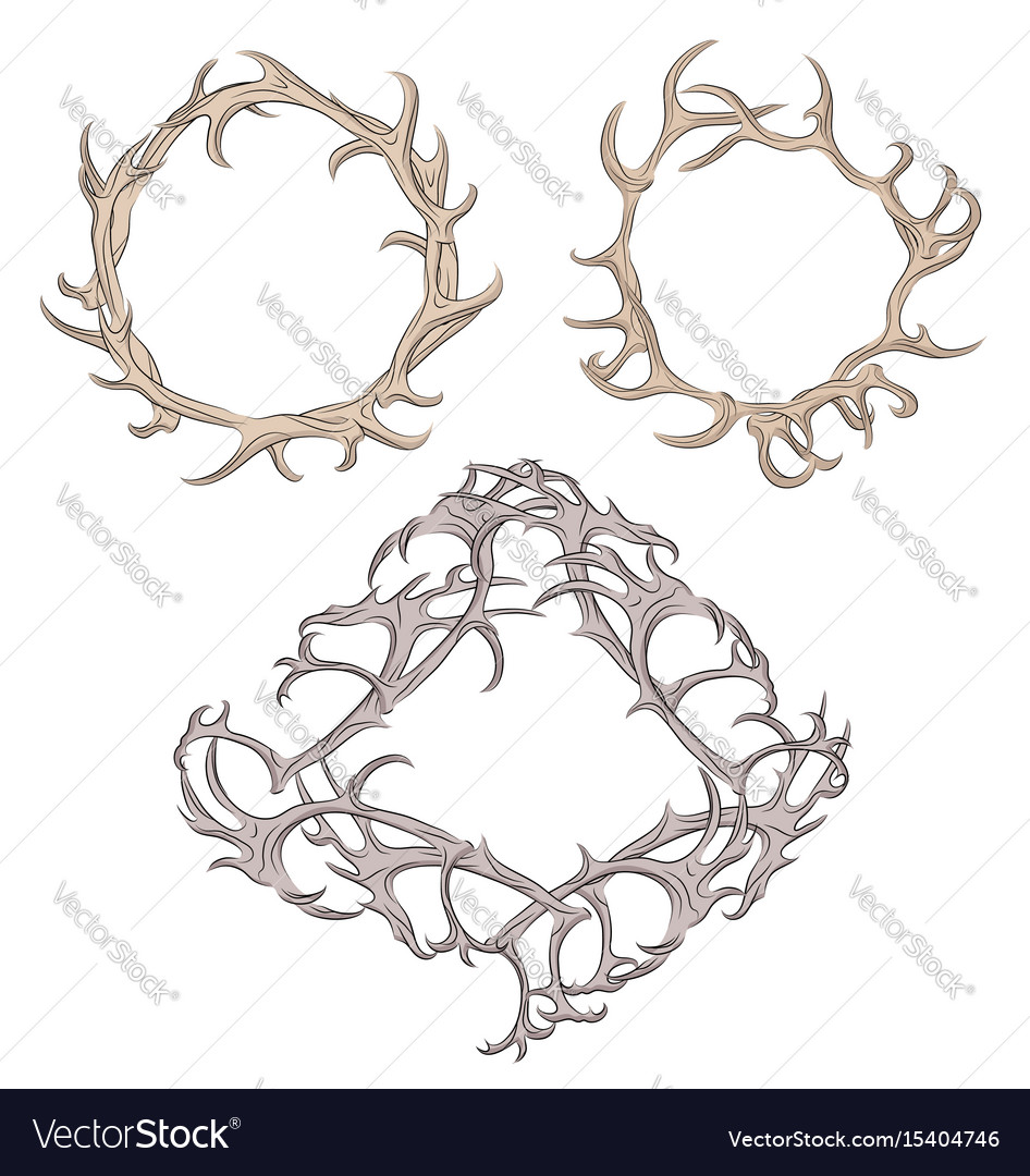 Set Of Diffe Frame Deer Antlers