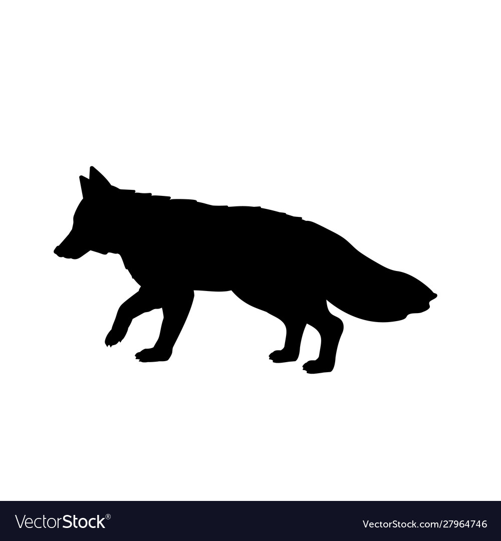 Silhouette fox animal forest wildlife