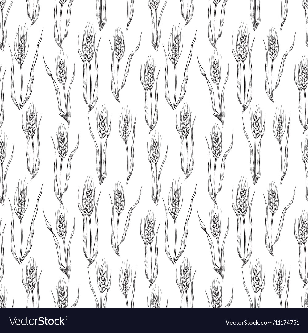 Hand drawn wheat ears seamless pattern great