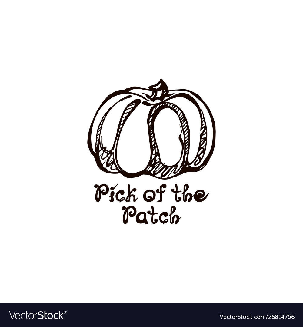 Autumn hand drawn pumpkin with lettering isolated