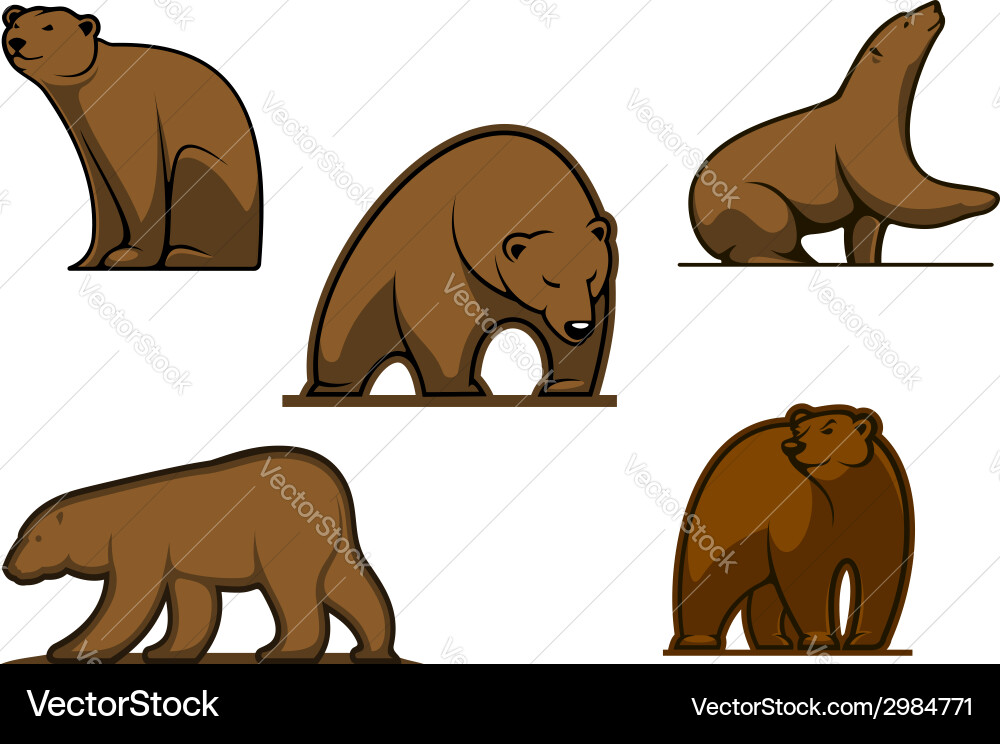 Brown colored bear characters Royalty Free Vector Image