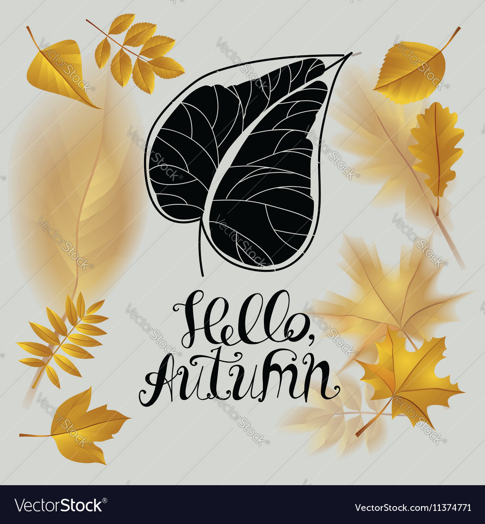 Hello autumn