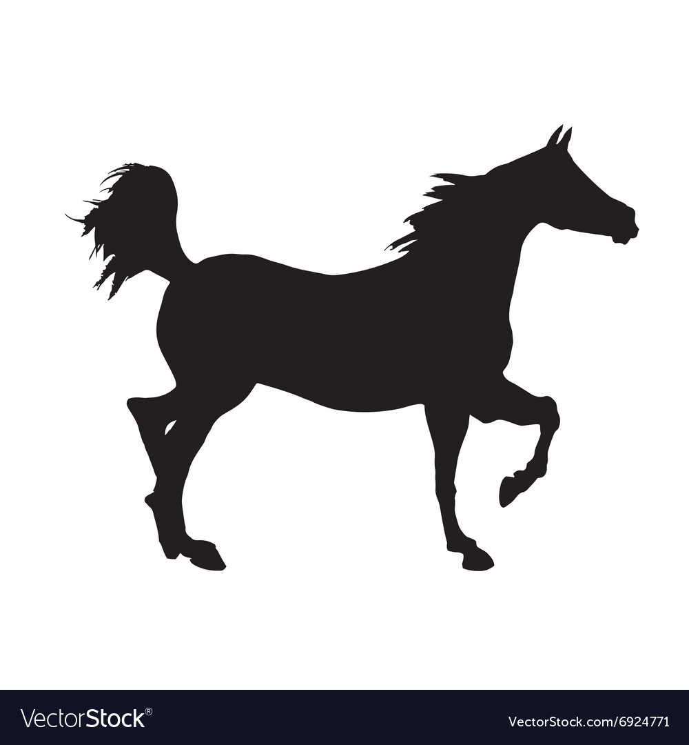 Horse Flat Icon Stock Vector by ©prosymbols 173927294