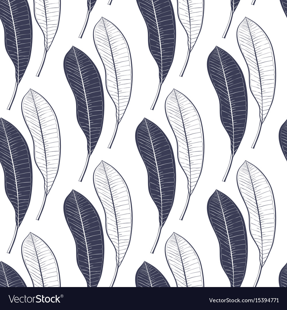 Seamless Pattern Of A Lot Of Mango Leaves Vector Image