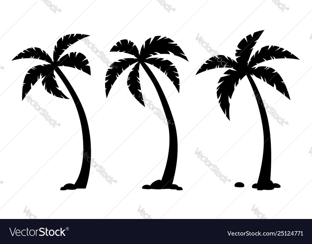 Set black silhouettes palm tropical trees Vector Image