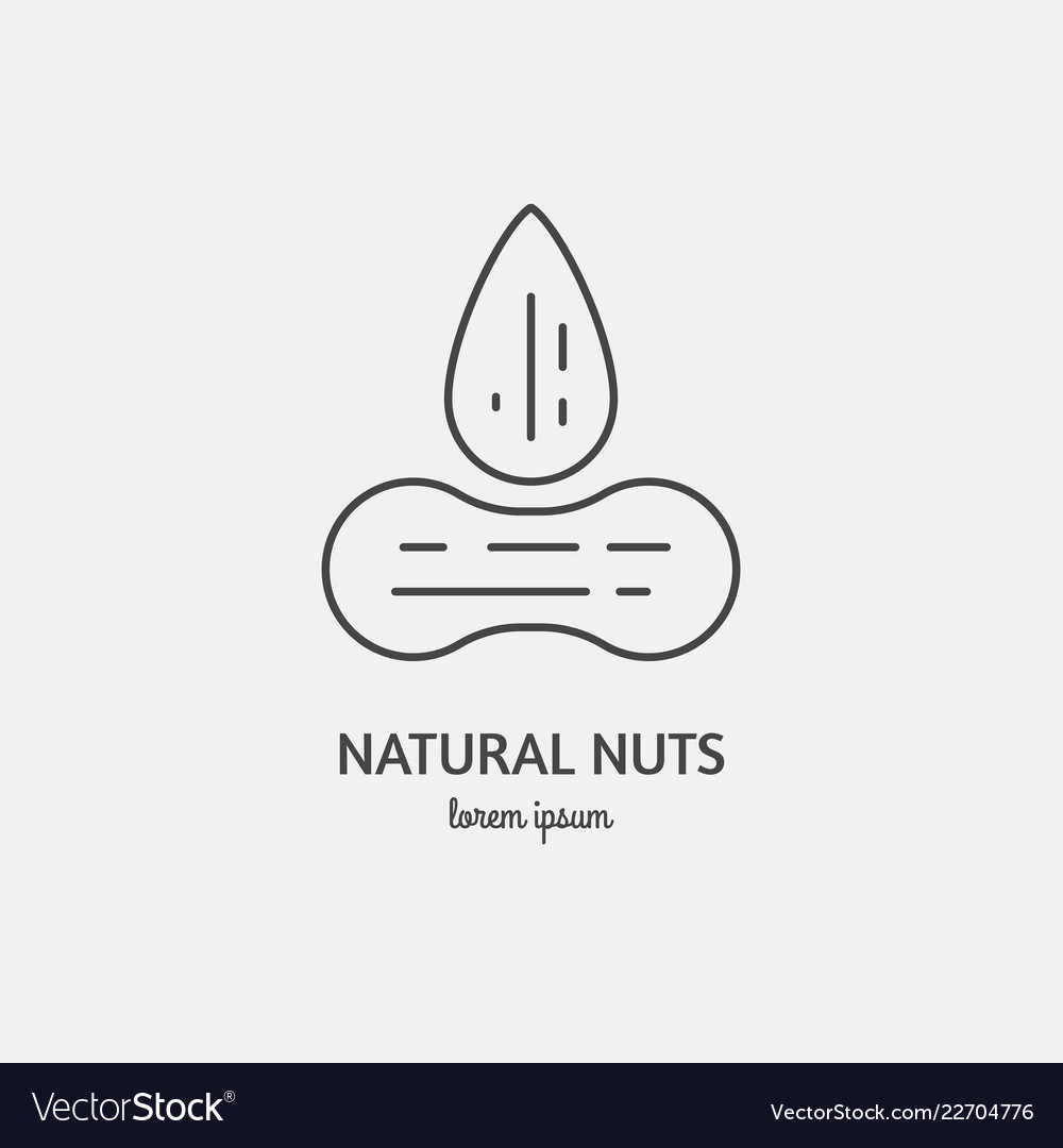 Nut Line Icon - Simple Vector