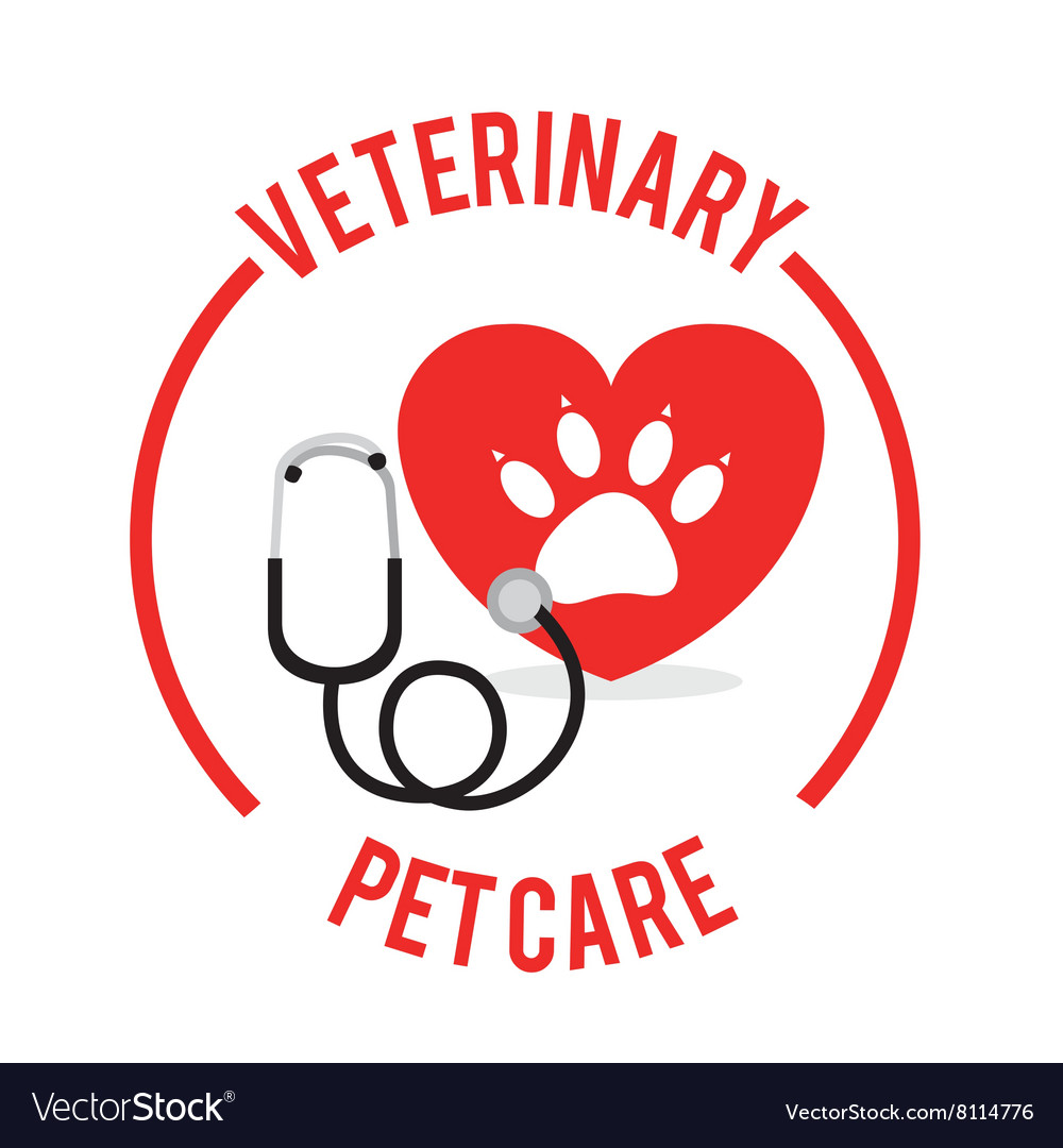 Vet clinic design Royalty Free Vector Image - VectorStock