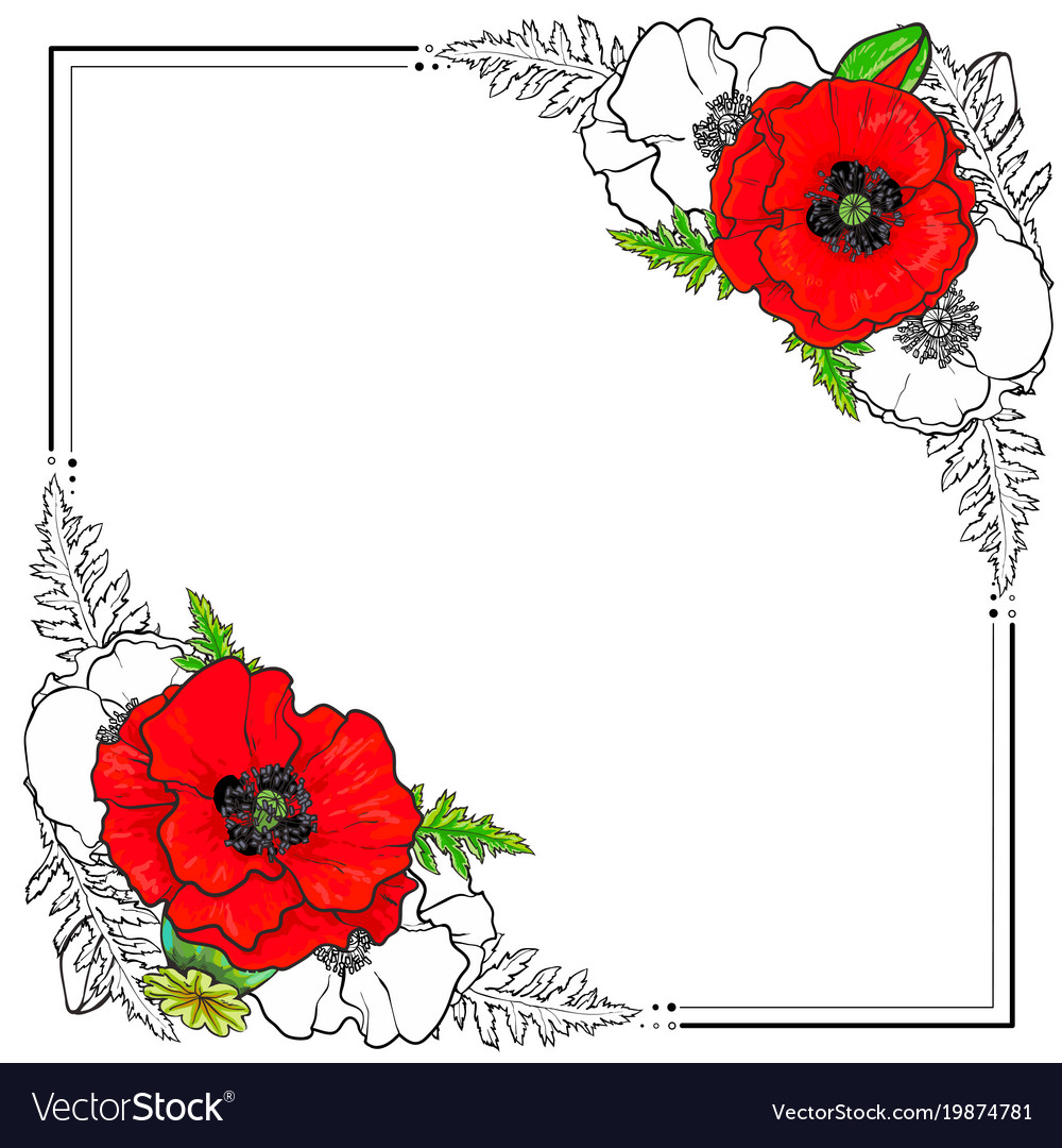 Square Frame Decorated With Poppy Flowers Vector Image