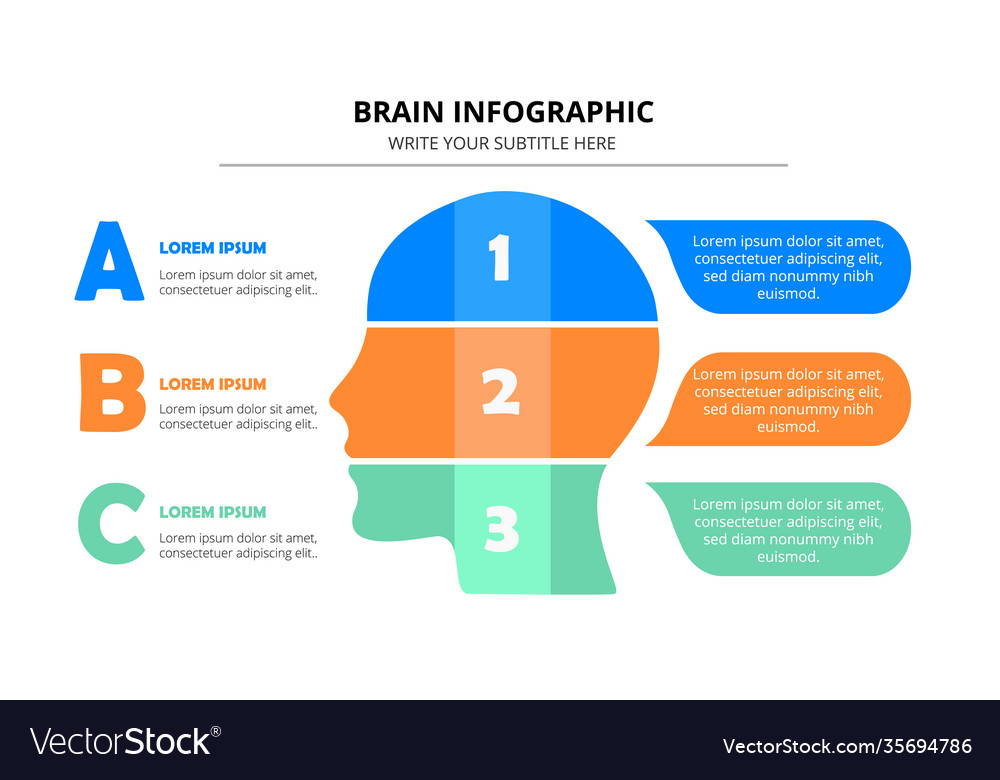 Colorful Brain Infographic Template Royalty Free Vector