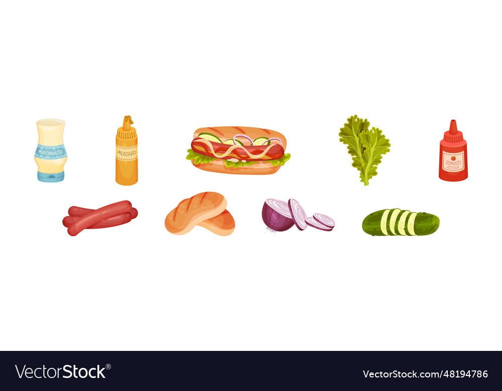 hot-dog-sandwich-ingredients-with-sausage-bun-vector-image