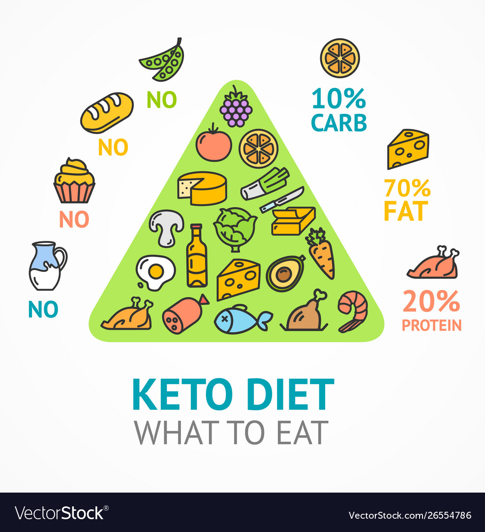 Keto Diet Concept Card Poster Ad With Thin Line Vector Image 6921