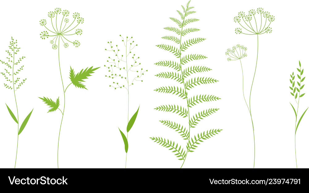 Grass set isolated Royalty Free Vector Image - VectorStock