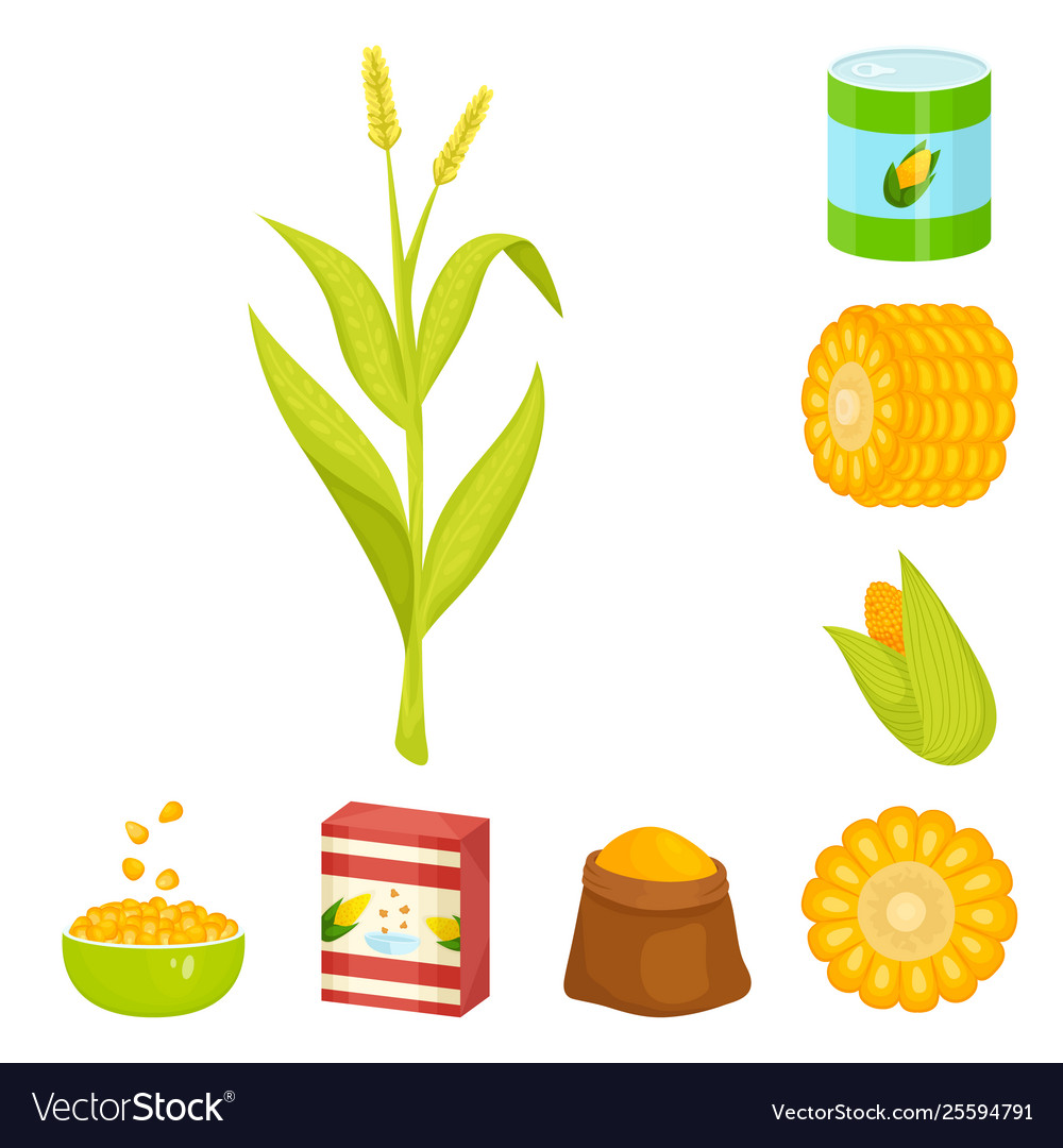 Maize and food sign set