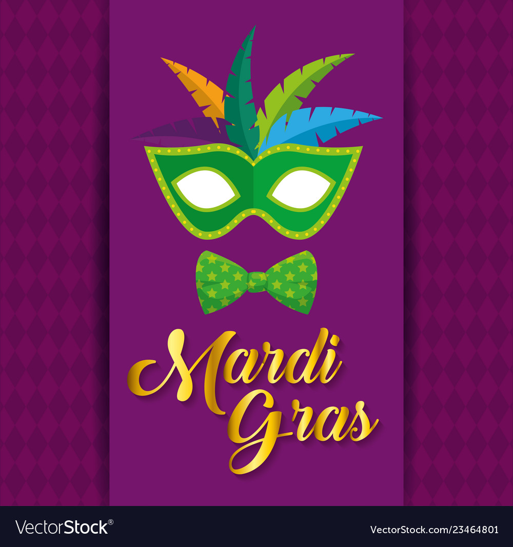 Mardi gras and traditional mask with feathers