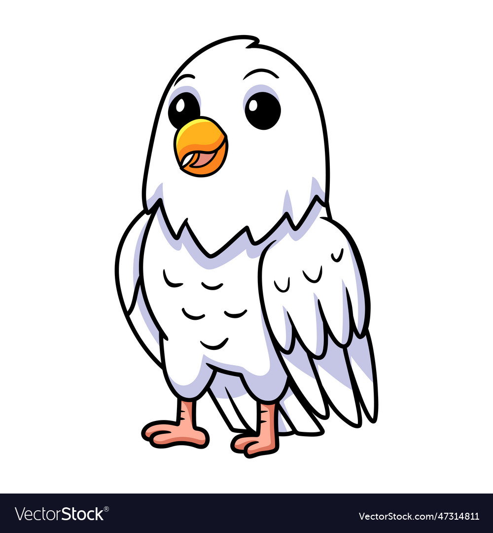 Cute white love bird cartoon