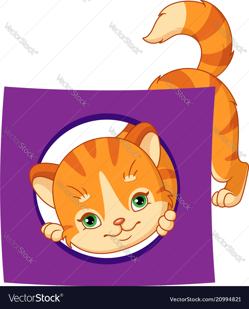 Cat with a card of geometric shape circle Vector Image