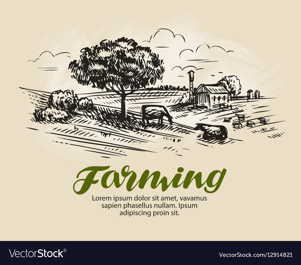 Farm sketch rural landscape agriculture farming Vector Image