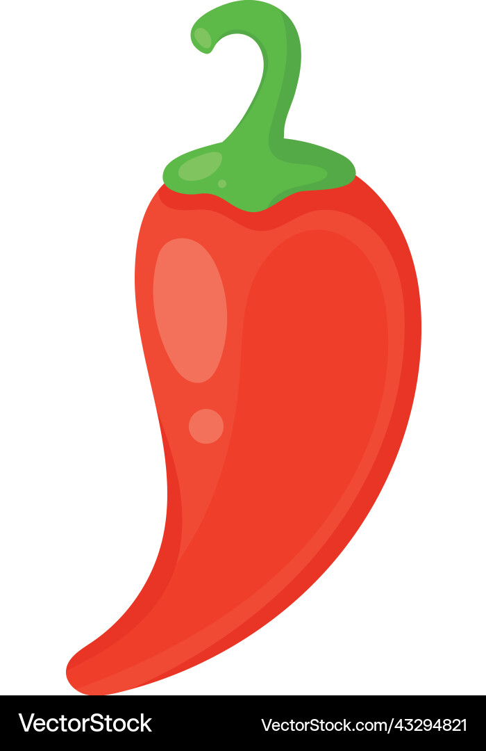 Red chili pepper vegetable Royalty Free Vector Image