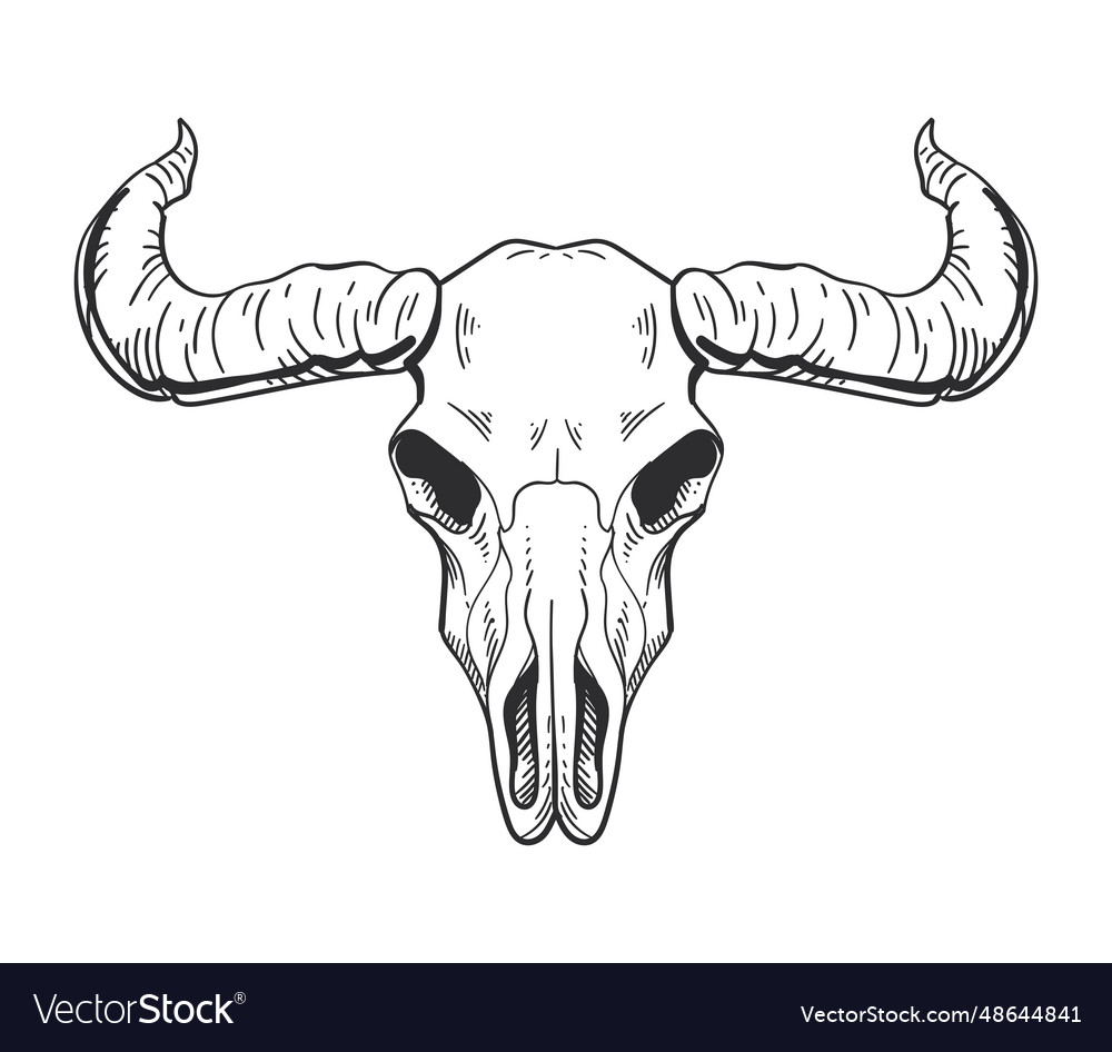 Bull skull boho icon Royalty Free Vector Image