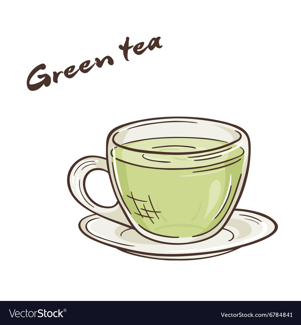 Printable of isolated cup of vector impression upon VectorStock image about Coffee Cup Printable named Printable of isolated cup of vector graphic upon VectorStock