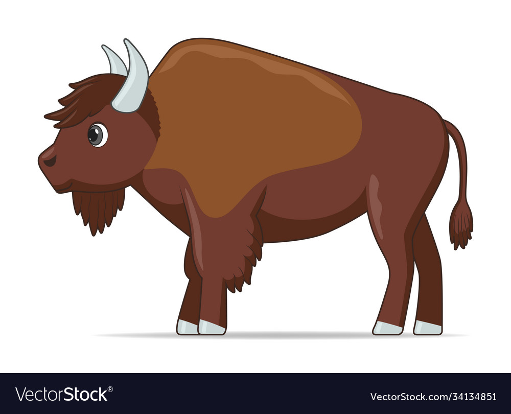 Bison animal standing on a white background Vector Image