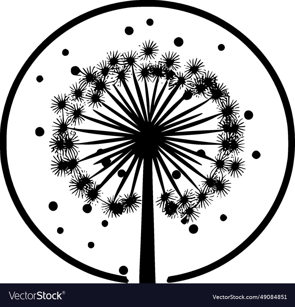 Dandelion black and white Royalty Free Vector Image