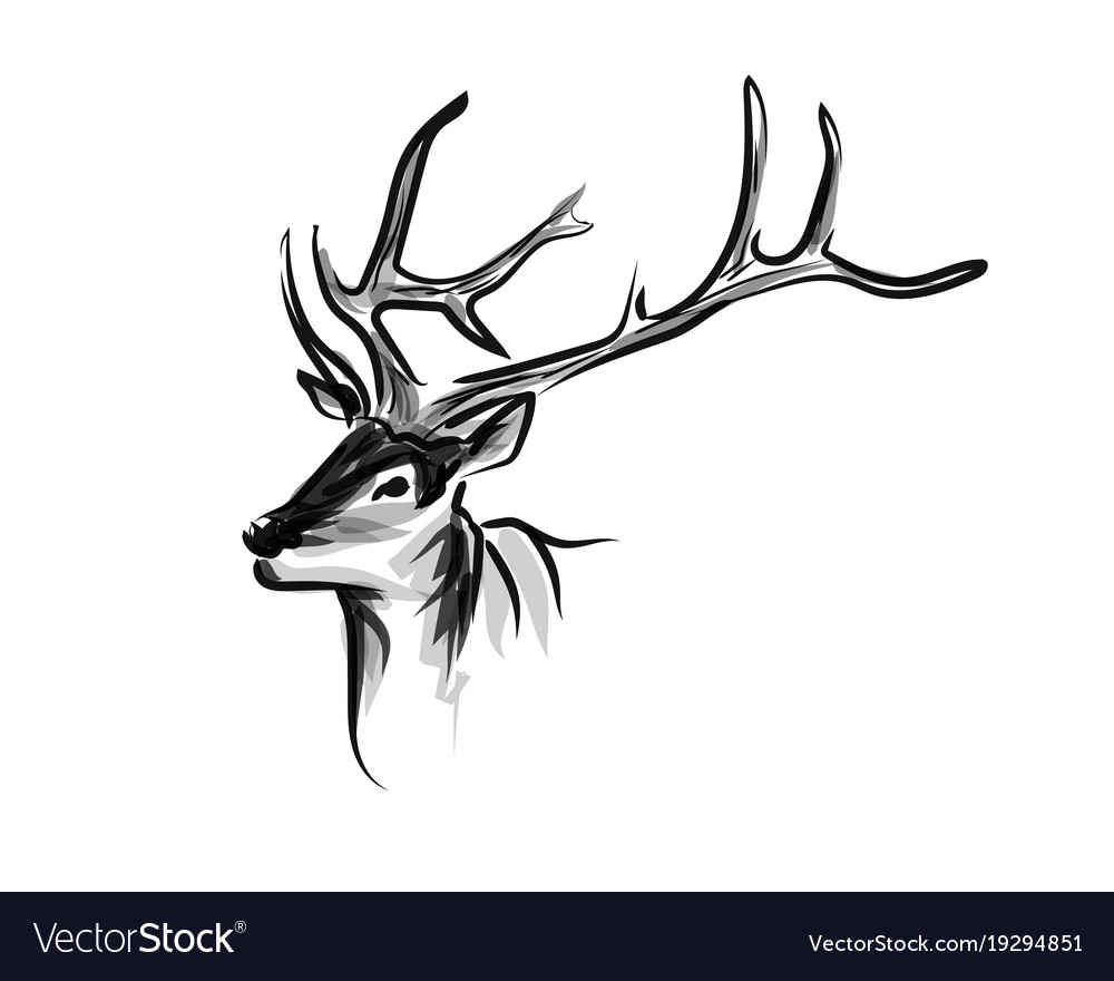 ink sketch head deer royalty free vector image drawings of deers