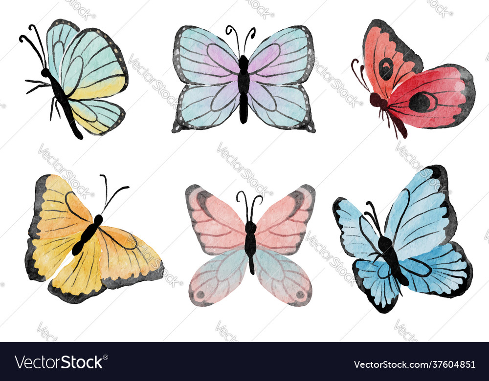 Watercolor hand drawn colorful butterfly vector image Watercolor hand drawn colorful butterfly
