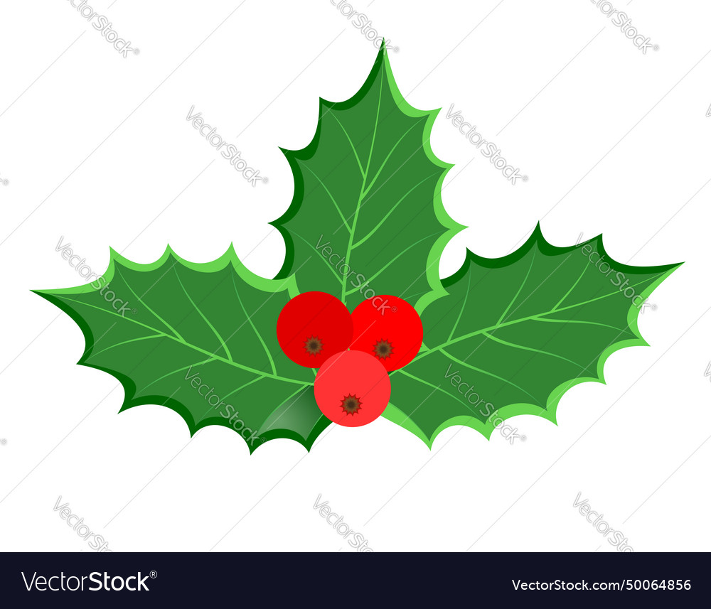 Weihnachten holly berries lager vector image Weihnachten holly berries lager