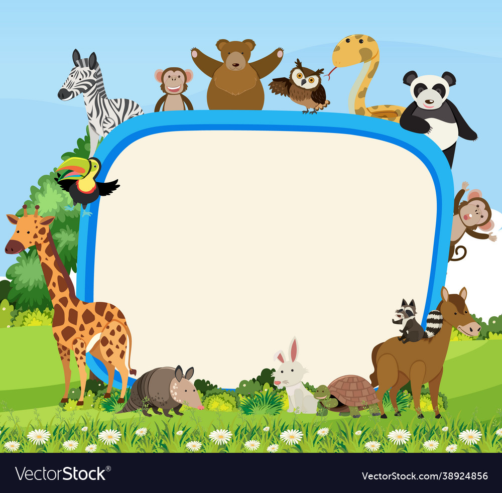 Empty banner with cute various wild animals Vector Image