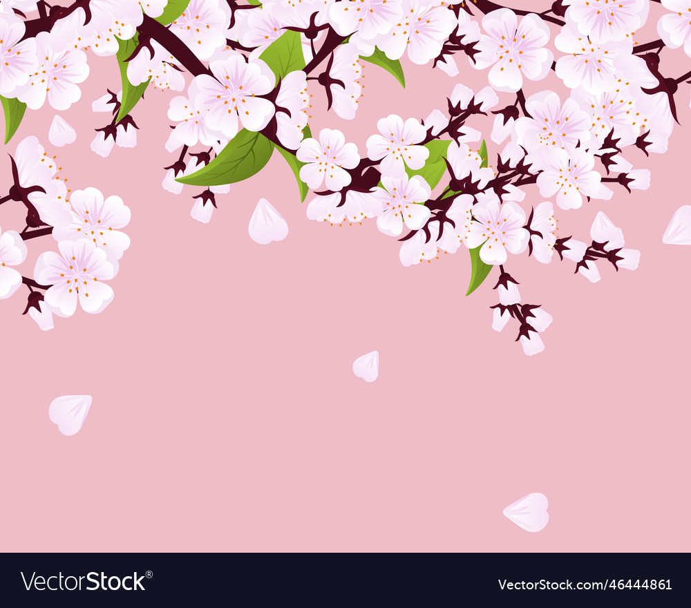 Realistic Cherry Blossom Royalty Free Vector Image Realistic Cherry Blossom Vector 46444861