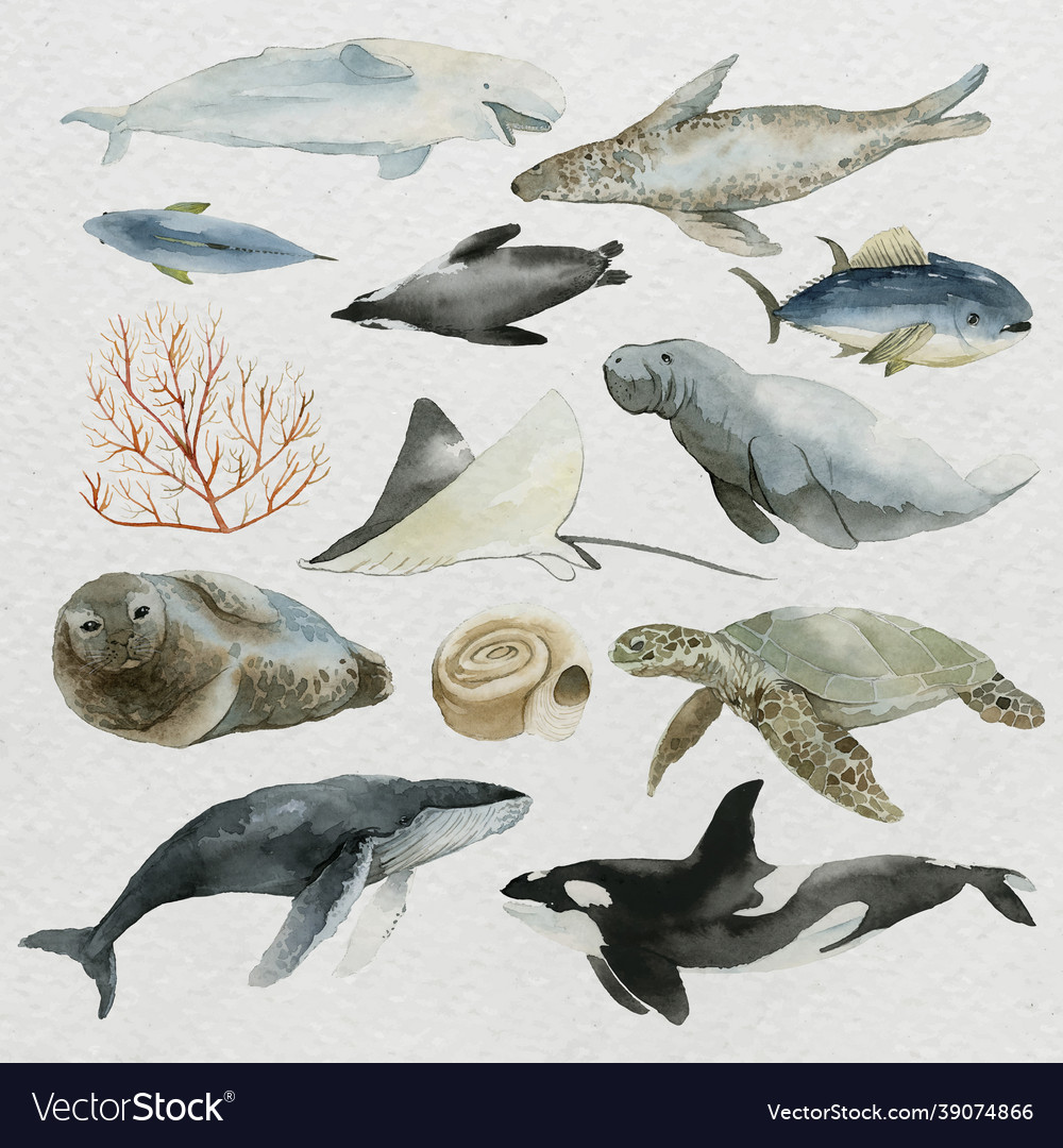 Animals from the sea in watercolor set vector image Animals from the sea in watercolor set