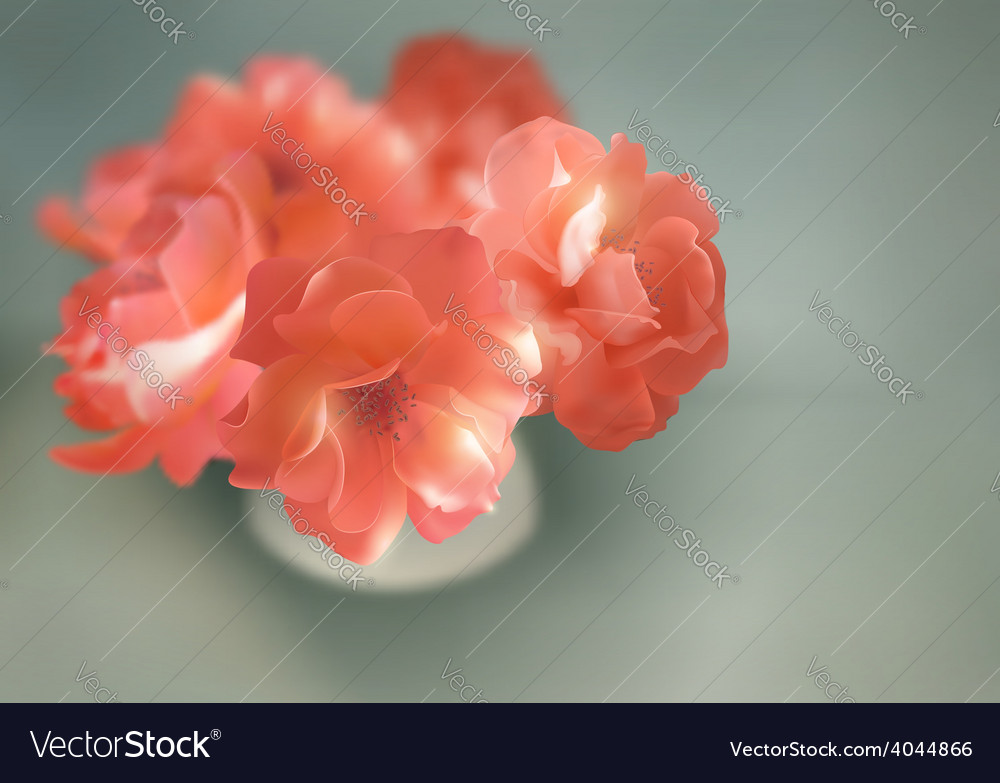 Shining flowers roses in vase