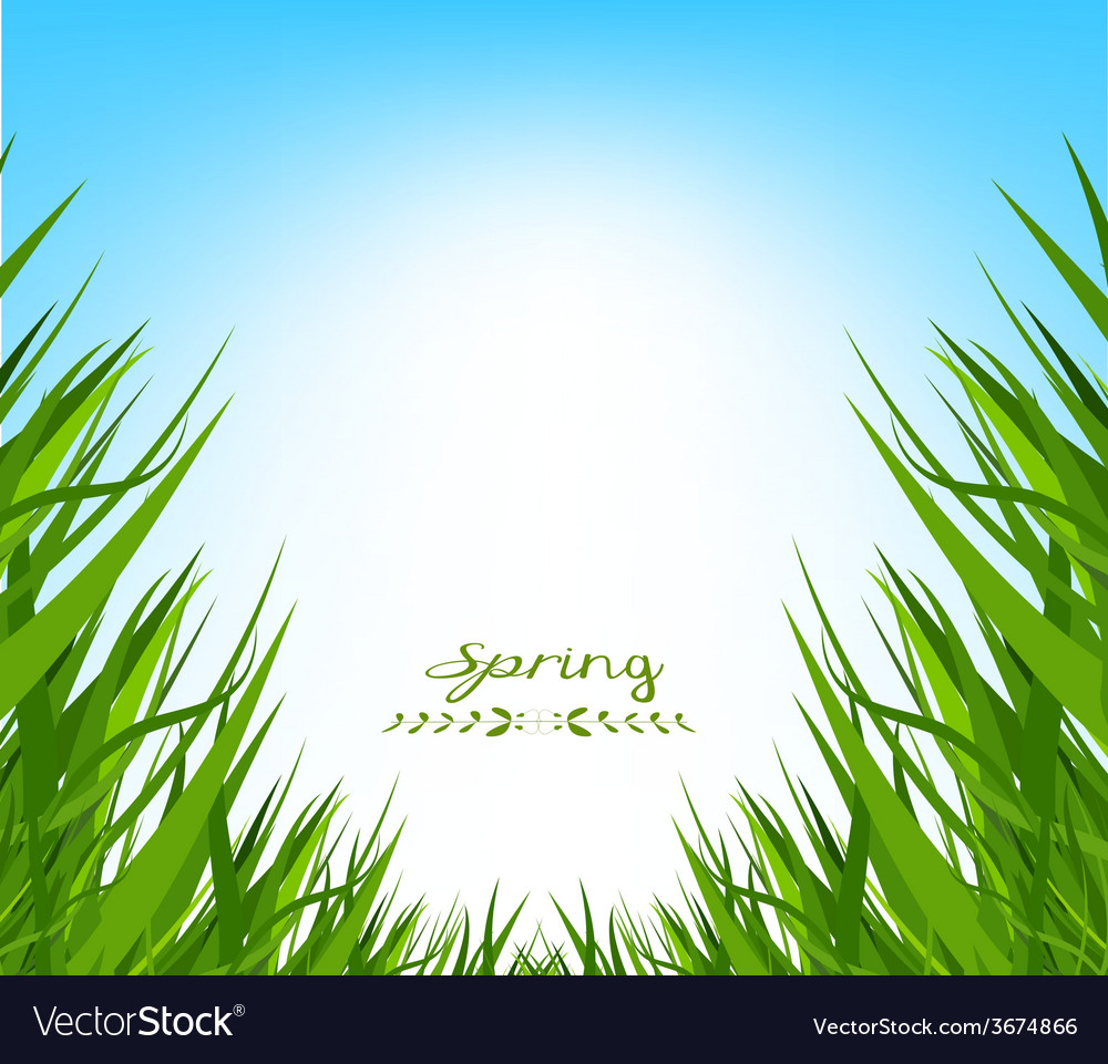 Spring fresh grass background