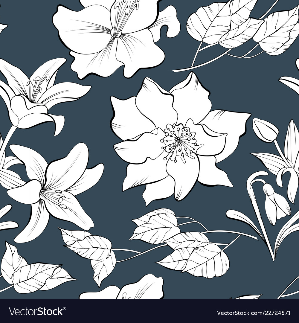 Botanical Sketch Pattern