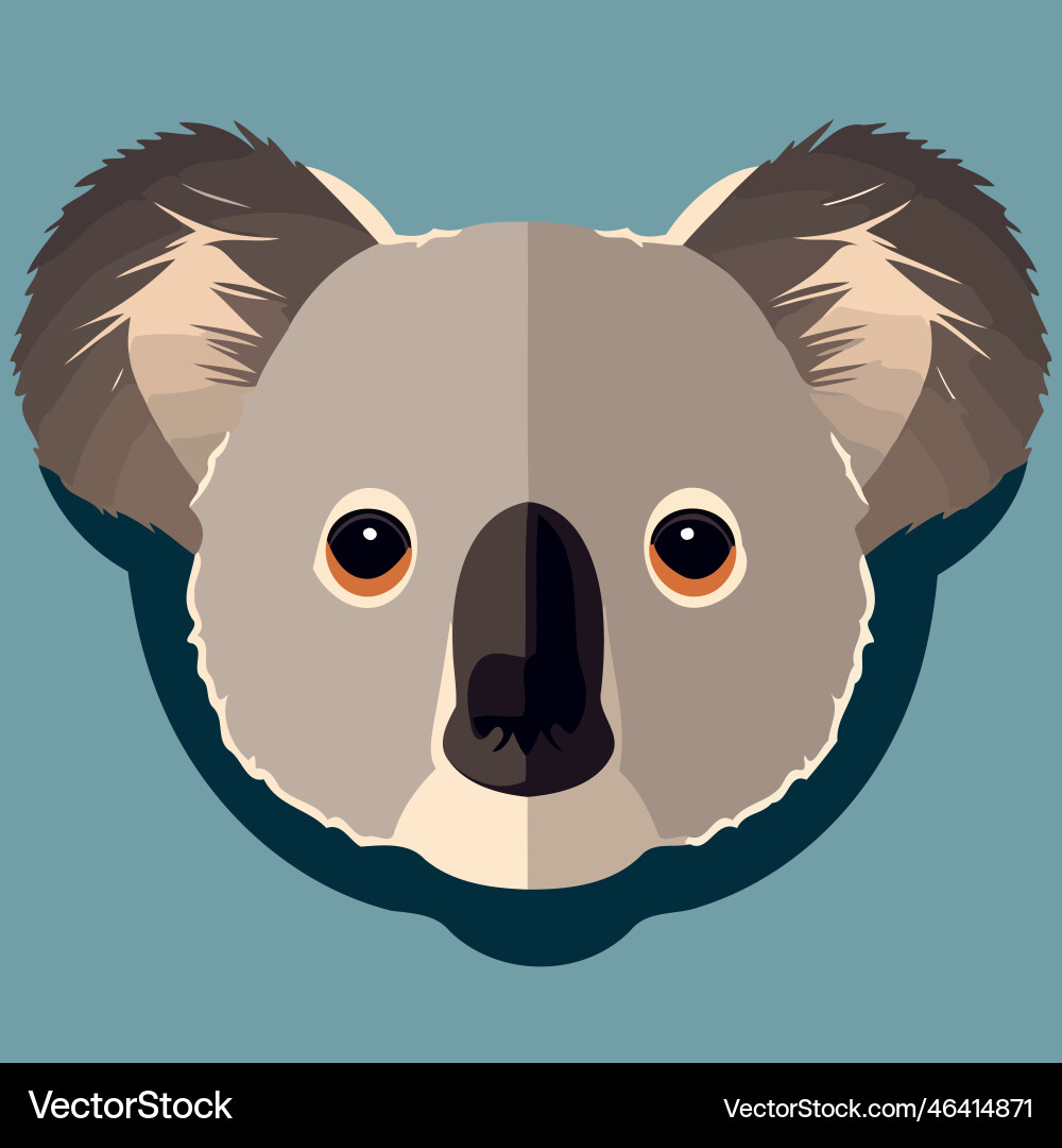 Common koala herbivore mammal animal face Vector Image